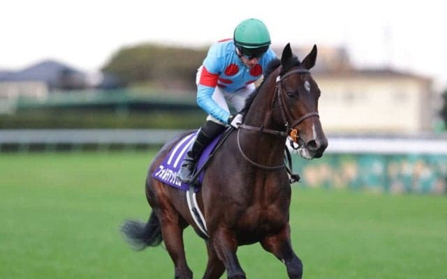 【ホープフルS】マーカンド「勝った馬が強かった」レース後ジョッキーコメント