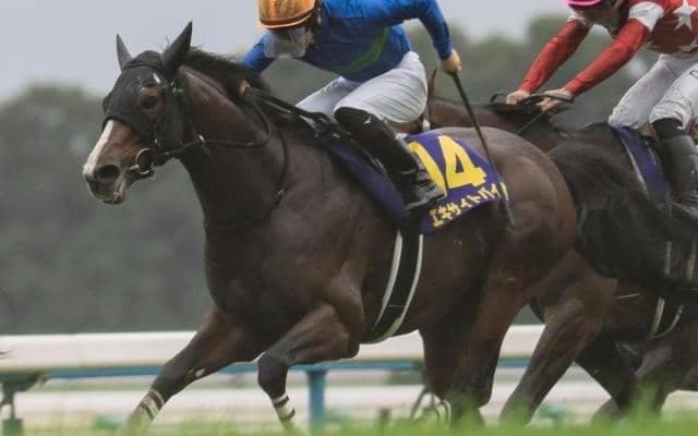 有馬記念当日の中山芝はいくらか高速化 1枠2頭が好配呼ぶか