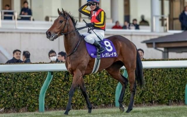 【有馬記念・馬体重】レガレイラは482kg(+2)、ミュージアムマイルは502kg(+2)