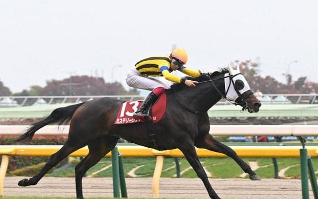 【競馬予想】今年の有馬記念は人気薄馬も見逃せない　血統分析で見えた、波乱を起こしそうな２頭は？