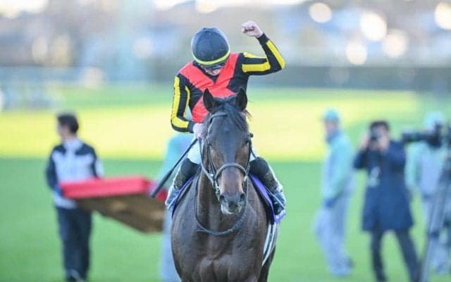 【有馬記念】3歳馬ミュージアムマイルが直線一気の差し切り！C.デムーロの鮮やかな手綱さばき