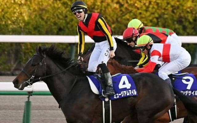 テレビドラマが「人生と重なった」　ミュージアムマイルが有馬記念V