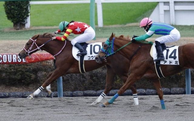 小林美駒騎手がキャリアハイの37勝をマーク…女性ジョッキー結果