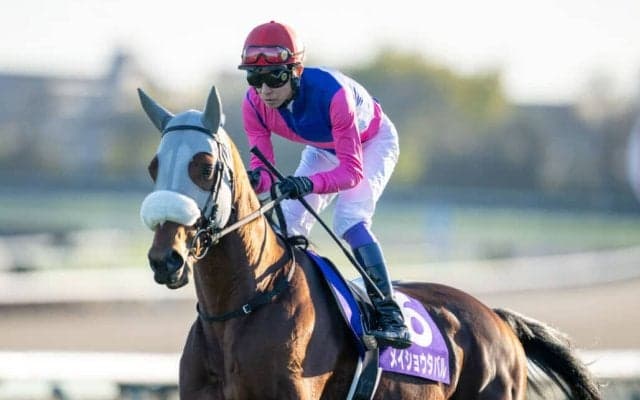 【有馬記念】「これが武豊クオリティ」武豊騎手のブレないジョッキーカメラ映像に反響