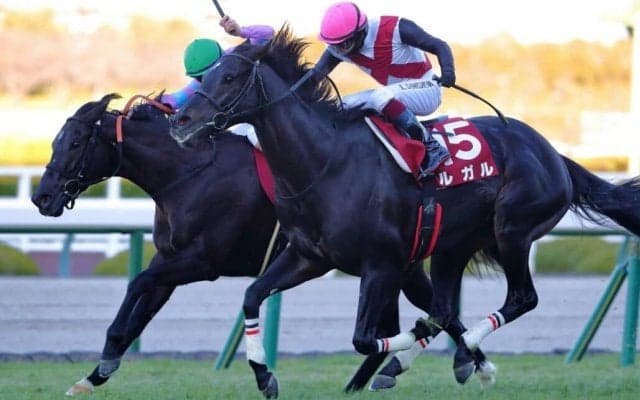 【阪神C】鮫島駿「さすがG1馬」ルガルがG1馬の貫禄を見せる
