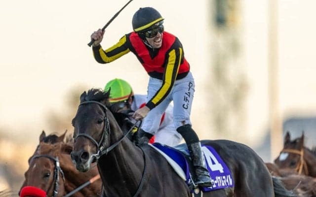 【有馬記念レース回顧】若き皐月賞馬ミュージアムマイルが頂点へ…レガレイラは連覇ならず、武豊メイショウタバルは試練の一戦に