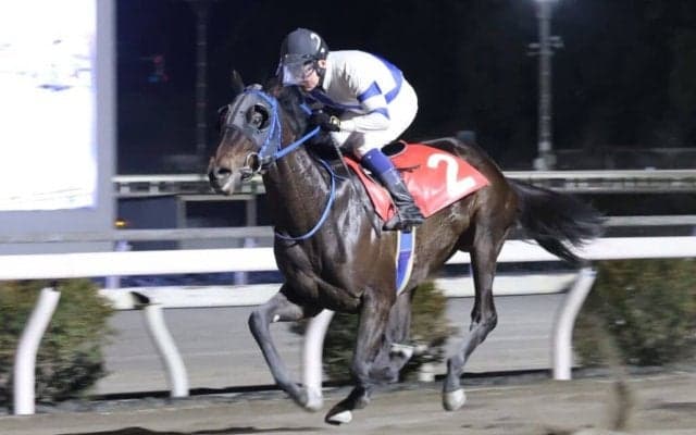 【高知・満天星特別】新馬戦以来の勝利、バリジグリーが準重賞で惜敗続きに終止符