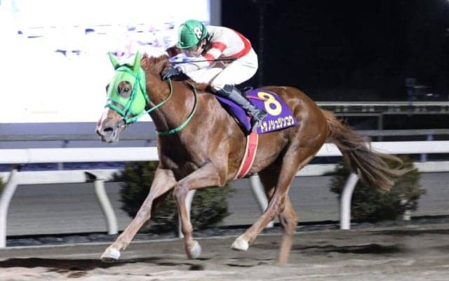 【高知・金の鞍賞】トサノシュジンコウが惜敗続きに終止符