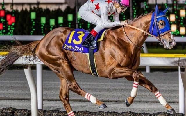 【東京大賞典】C.ルメール騎手が17年ぶり2勝目へ 主役のミッキーファイトで参戦