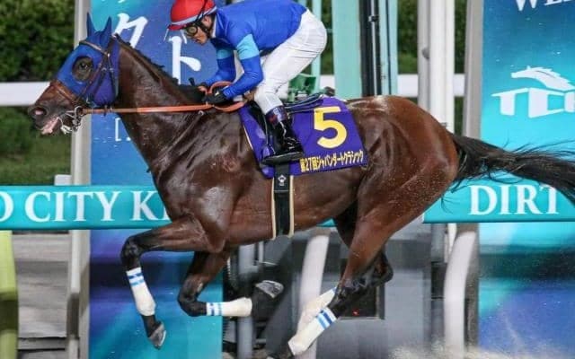 【東京大賞典】チャンピオンズCで13着のナルカミが参戦 前走二桁着順からの一変Vなら20年ぶり