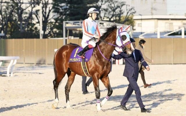 【東京大賞典】横山武「初めての古馬対戦でしたし、また改めてです」3歳ダート二冠馬ナチュラルライズは11着大敗