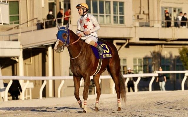 【東京大賞典】ルメール「2000mの距離はギリギリ」断然人気ミッキーファイトはゴール前で力尽き2着