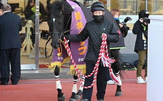 【阪神C】売上は50億1066万9400円で昨年より約14.2億円減少