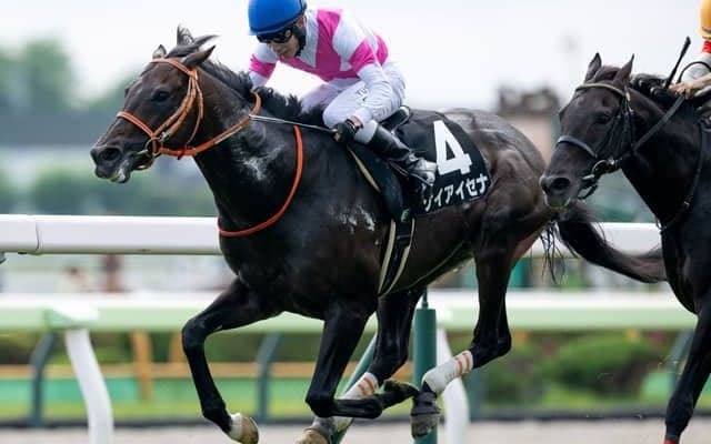 【AI予想・中山金杯】12月から開催が続く中山の馬場がポイント!? 伏兵の一発にも警戒を強める人工知能の本命候補とは