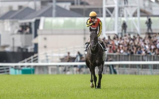 【2025年GIプレイバック(上半期)】北村友一騎手のダービー初制覇、ベラジオオペラの大阪杯連覇など