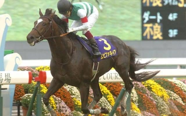 エピファネイアが“4年連続2位”から首位奪取 今年のJRA2歳種牡馬ランキングを振り返り