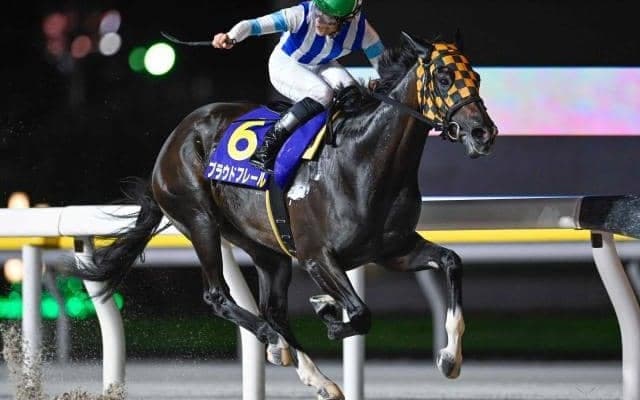 【大井・東京シンデレラマイル注目馬】南関東の最強牝馬決定戦にフルゲート16頭