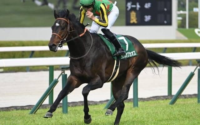 【京都金杯予想オッズ】ランスオブカオスが予想1番人気