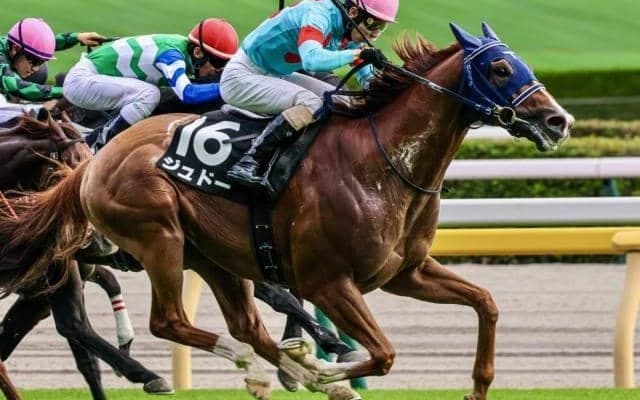 2025年でもっとも荒れたレースは？ 3連単1000万超えも…式別ごとの最高配当を振り返る