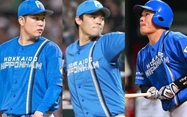 FA加入も掴めなかった“居場所”　苦悩の34歳…日本ハム、1年後の補強評価