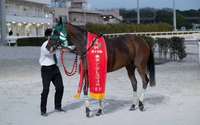 【東京シンデレラマイル】1レース売得金10億円超でレコード更新