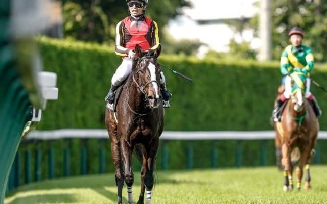 2026年の中央競馬が中山金杯と京都金杯で幕を開ける/今週の競馬界の見どころ