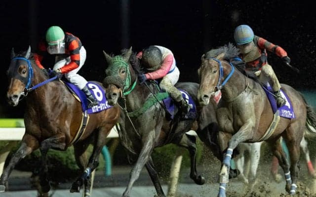 【岩手競馬】2025年累計発売額648億円超、前年比104.4％と堅調に推移