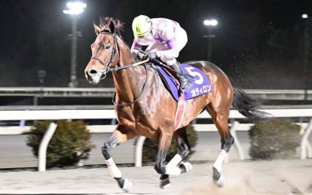 【高知県知事賞】オディロンが後続を寄せ付けず5馬身差V