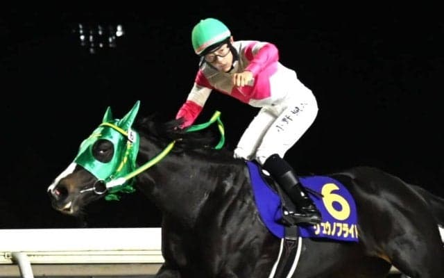 道営所属リュウノフライトが頂点へ…グランダム・ジャパン2025・2歳シーズン総合優勝