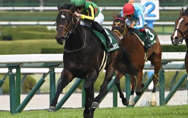 【京都金杯見どころ】安定感抜群のランスオブカオス