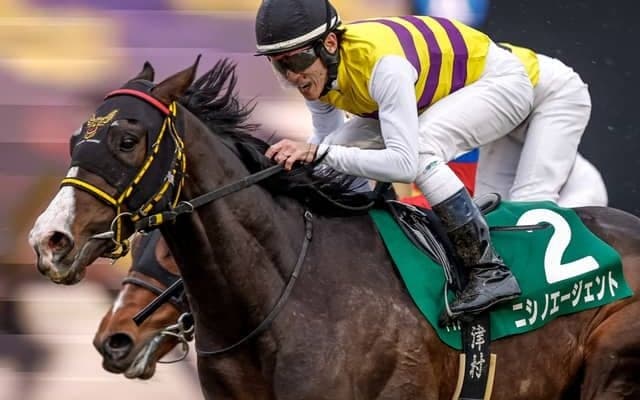 【中山金杯見どころ】冬の中山に実績があるニシノエージェント