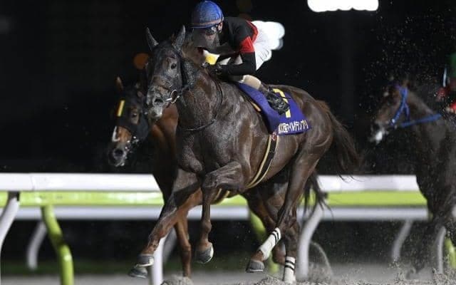 【川崎マイラーズ枠順】マイルグランプリの覇者ゴールドレガシーは8枠10番