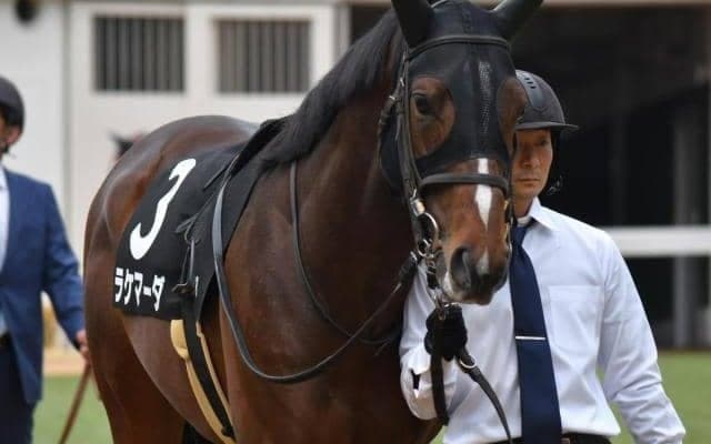 【京都金杯】高杉吏麒騎手が重賞初制覇なるか 伏兵ラケマーダで一発狙う