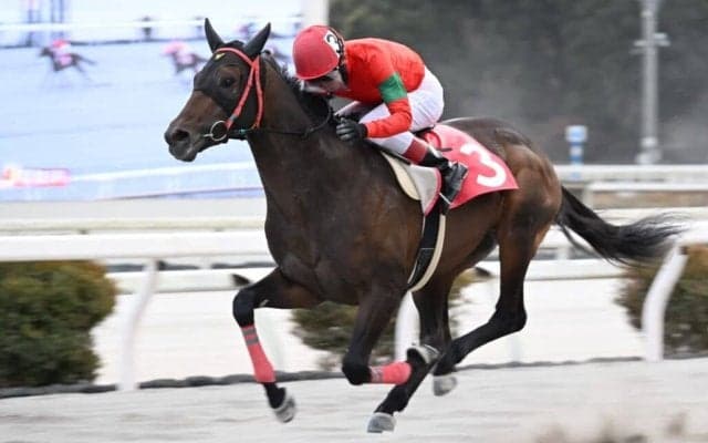 【高知・初夢特別】オタマジャクシが4連勝…永森「今日はトノサマガエルでした」