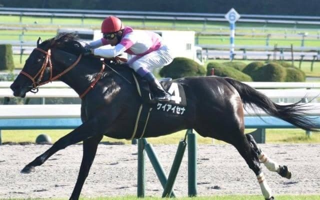  【中山金杯予想】枠順と臨戦過程がカギを握る AIが現時点で導き出した本命候補は