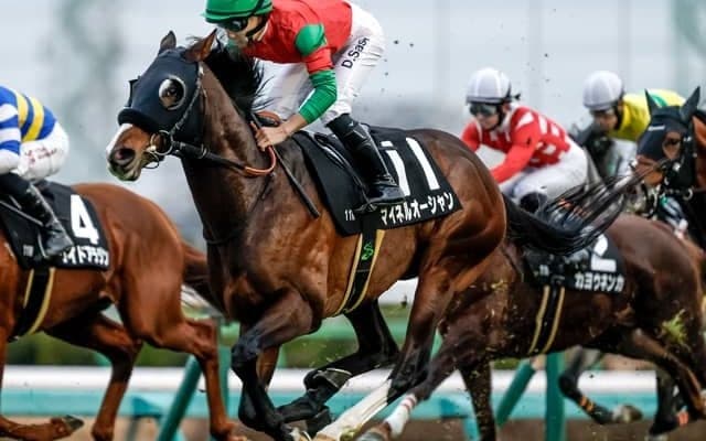 【中山金杯展望】好走データに合致するマイネルオーシャンが新年の計を飾る
