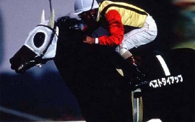 東京競馬場で行われた中山金杯 ベストタイアップが重賞初制覇を飾った一戦を振り返る