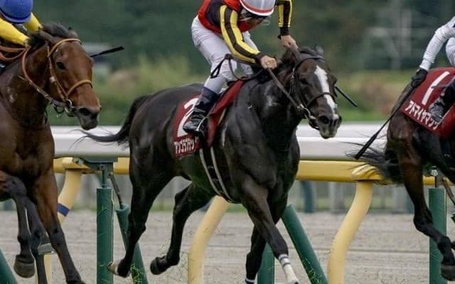 【中山金杯・調教後馬体重】アンゴラブラックは486kg、カネラフィーナは480kg