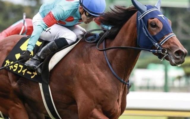 【中山金杯】牝馬が25年ぶりの戴冠なるか アンゴラブラックとカネラフィーナの2頭が参戦だ