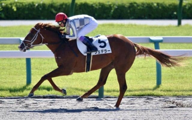 武豊騎手 今週の騎乗馬…日月で16鞍