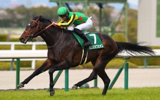 【京都金杯】ランスオブカオスは508kg…出走馬の調教後の馬体重