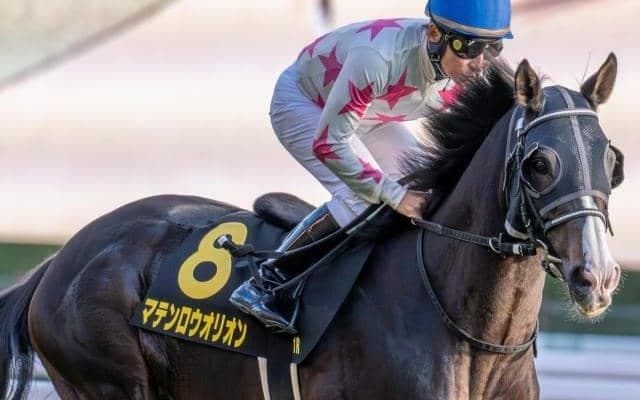 中山金杯は史上最多タイの4勝 横山典弘騎手がマテンロウオリオンで京都金杯初制覇なるか