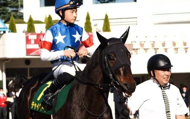 2025年の年間最多出走だった馬は？ JRA珍リーディング