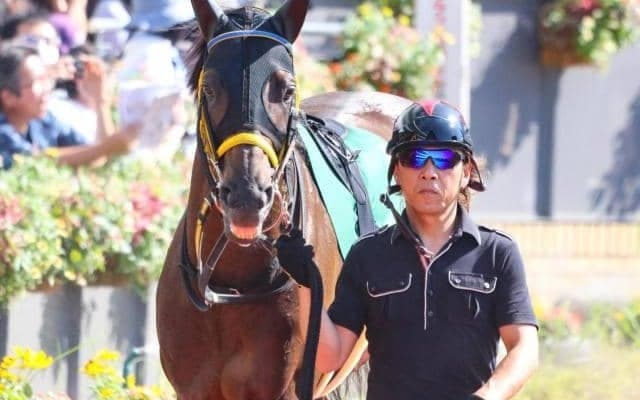 【中山金杯】史上最高齢Vなるか 明け8歳のリフレーミングが復活の重賞2勝目狙う