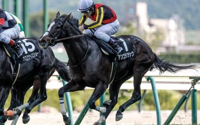 【中山金杯予想】今年の中山金杯は大波乱の可能性あり!? 牝馬が苦戦するのは開催日程が要因