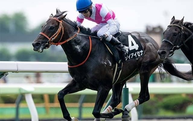 ディープインパクト産駒が17年連続重賞制覇へ 東西金杯に4頭が参戦