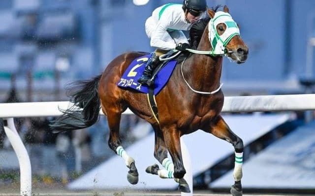 【川崎・川崎マイラーズ結果】アランバローズが9馬身差逃げ切りV！重賞5勝目を挙げる