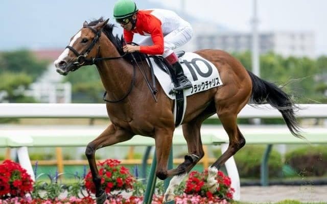 【フェアリーS想定馬・騎手】ブラックチャリス、ギリーズボールなど18頭