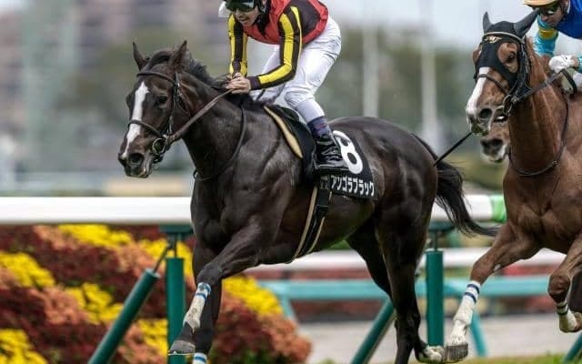 【AI予想・中山金杯】東の金杯は人気によって狙い方が変わる!? 前回以上の仕上げで初タイトルを狙う人工知能の本命馬