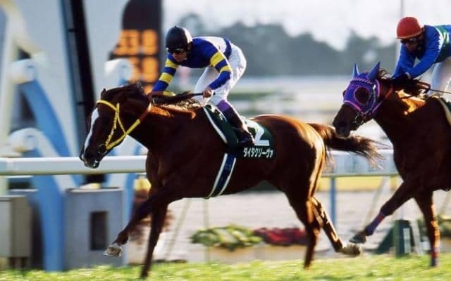 “午年の金杯”過去の傾向探ってみた 東は「3番」、西は「1番人気」に注目？